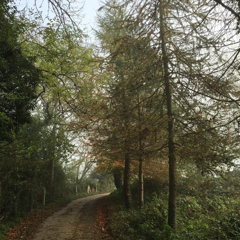 Pathways, Beachwood Cottage Bath Dış mekan fotoğraf